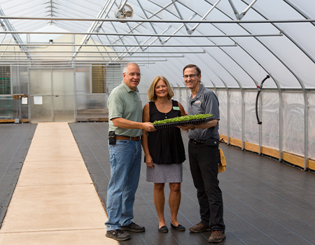 People holding a flat of plants