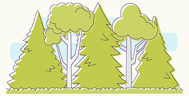 Illustration of several trees