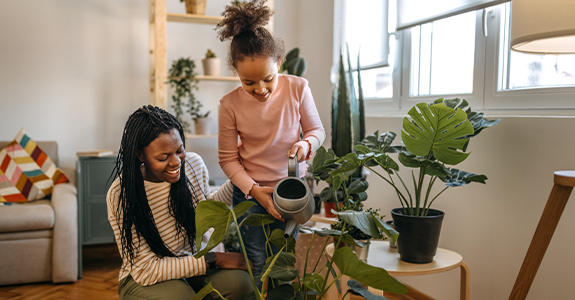 People watering a houseplant