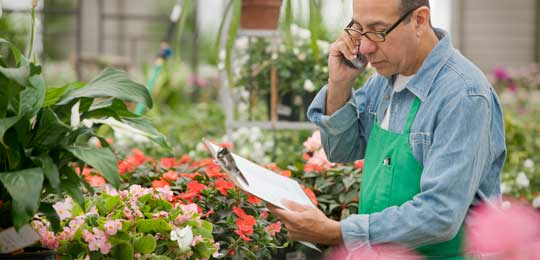 Man talking on a phone while inside a greenhouse