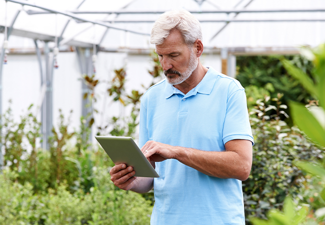 Man working on a tablet while inside a greenhouse