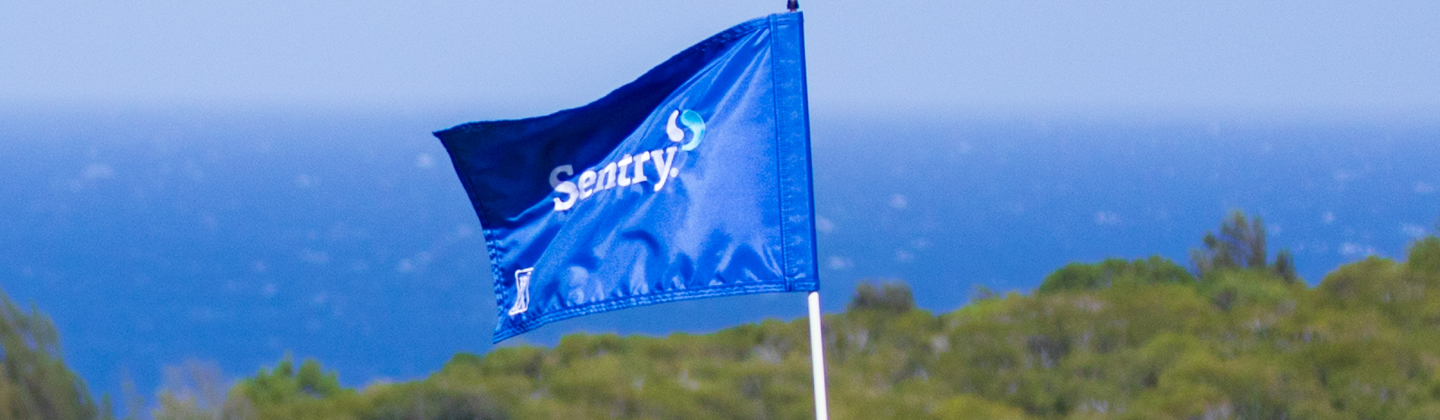 Blue Sentry flag waving against a blue sky with green trees in the background