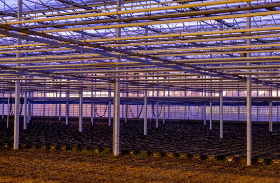 Soiled land for growing plants in an indoor greenhouse