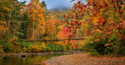 Bridge over Maury River