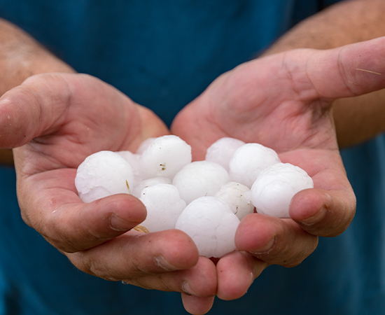 Someone holding hail in their hands