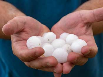 Someone holding hail in their hands