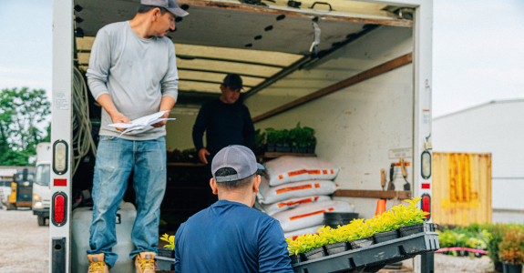 Workers loading trays of plants into the back of a truck.