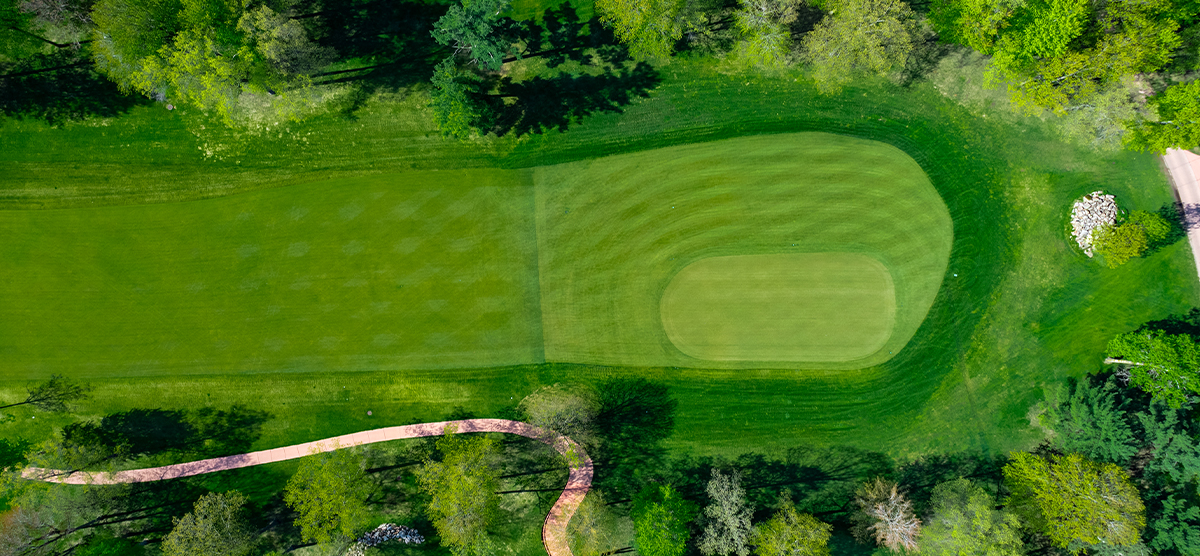 Aerial view of the putting green for the fifteenth hole at SentryWorld