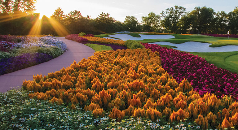 SentryWorld golf course flower hole