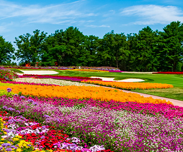 Flower hole on the SentryWorld golf course