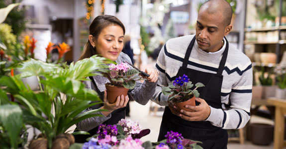 People working with plants and flowers