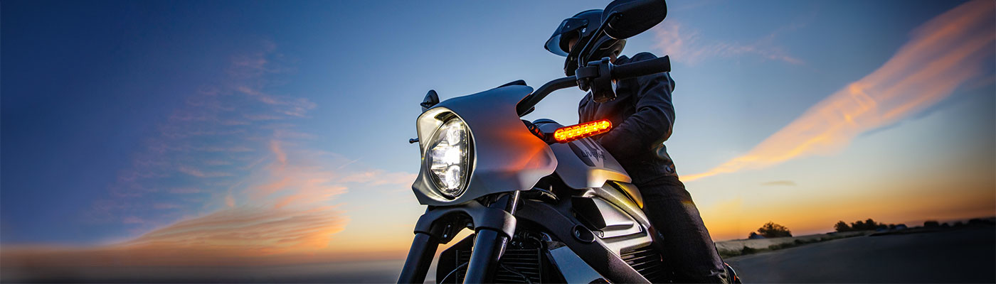 Motorcyclist looking out at the horizon