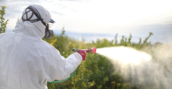 Worker spraying pesticides in a field