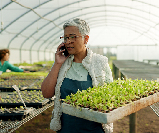 A woman talking on the phone while holding young plants in a greenhouse