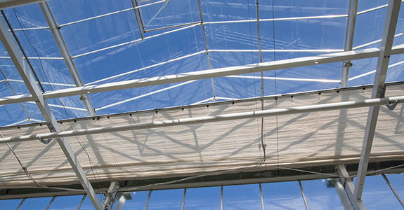 greenhouse ceiling