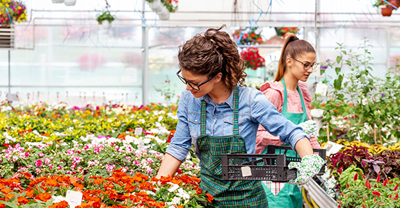 hero-plant-nursery-insurance-575x300