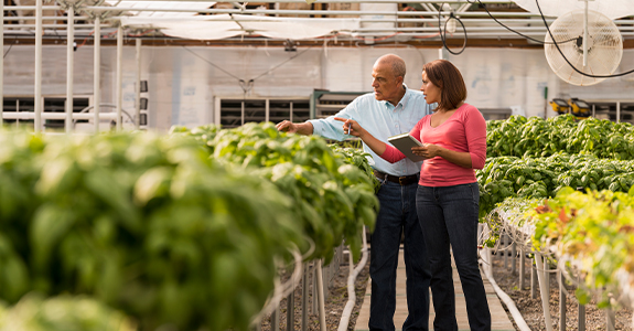 People looking at plants inside a greenhouse