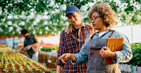 two people working in greenhouse pointing at plants