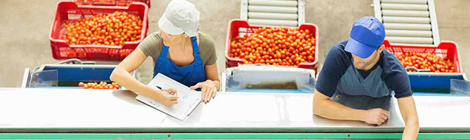 People working on food assembly line. 