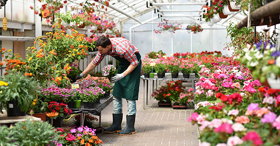 man in apron working in greenhouse
