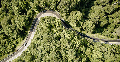 Aerial view of Back of Dragon road surrounded by green forest