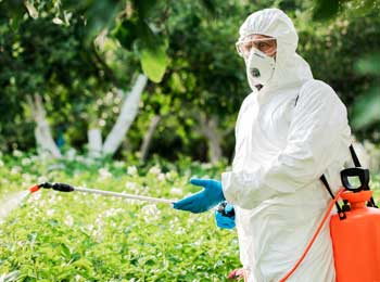 Person spraying chemicals on plants
