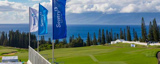 The Sentry tournament flags waving in the wind on the golf course in Hawaii