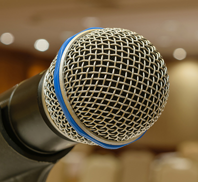 Metal grille on a microphone