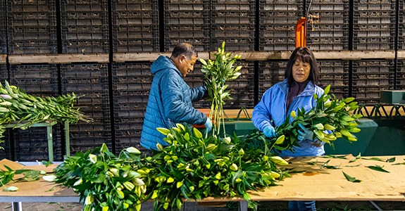 two people arranging flowers in warehouse