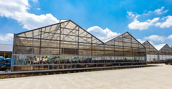 Outside view of a greenhouse