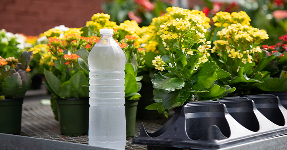 water bottle sitting on table with flowers in background