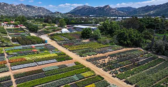 Aerial view of an outdoor growing facility