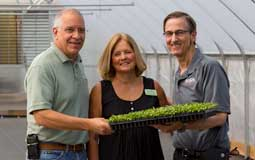 Three people holding a flat of plants