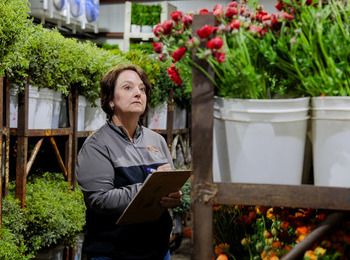 Female in flower storage cooler taking inventory