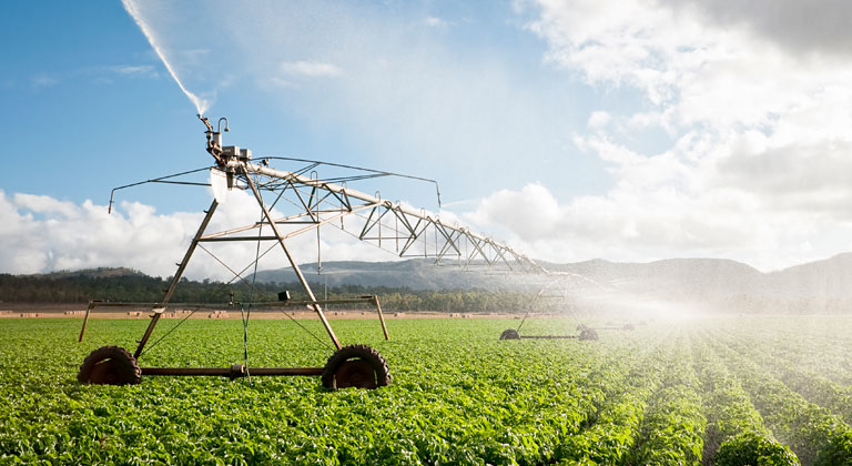 Farm field being watered by equipment