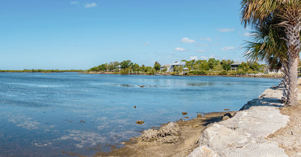 Sunny landscape in Florida