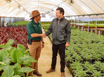 Two men shaking hands inside a greenhouse