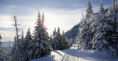 Snowy road in Vermont