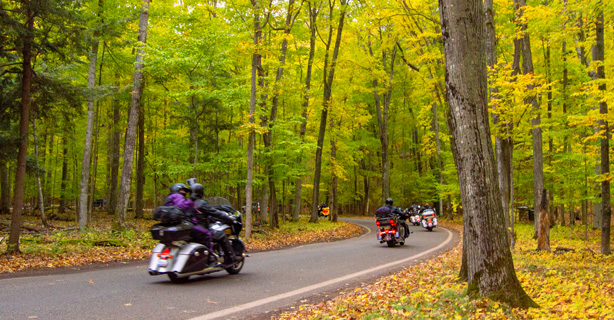 Tunnel of Trees Michigan