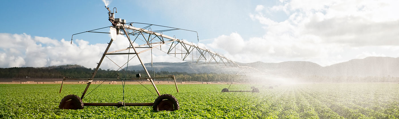 Farm field being watered by equipment