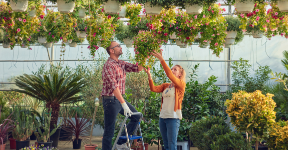woman helping to lift a flower basket up to a man on stepstool in a garden center