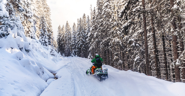 Snowmobile rider in snowy forest