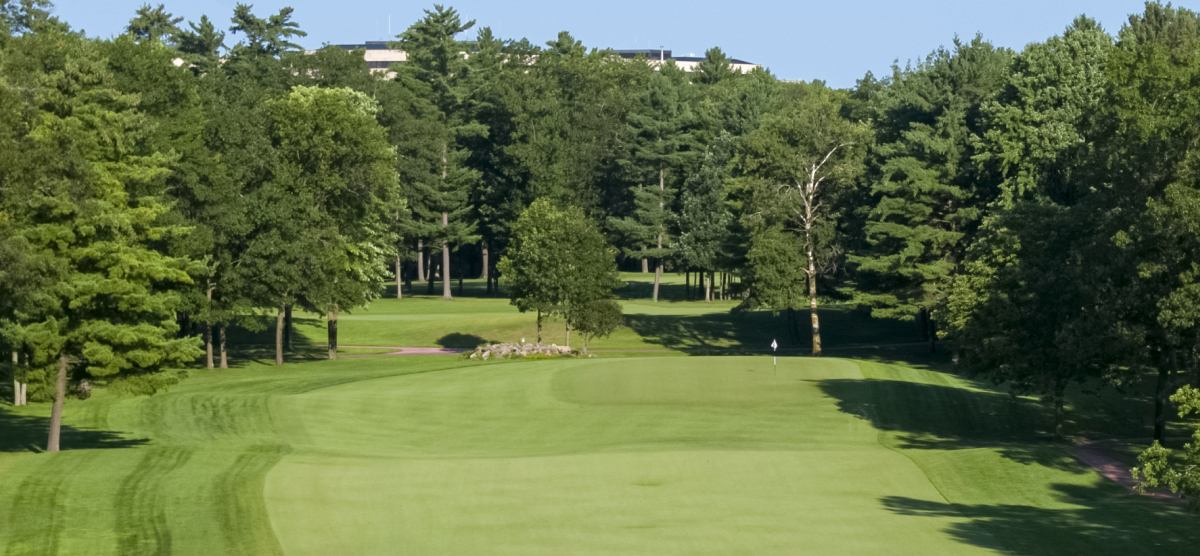 Golf course view from above. 