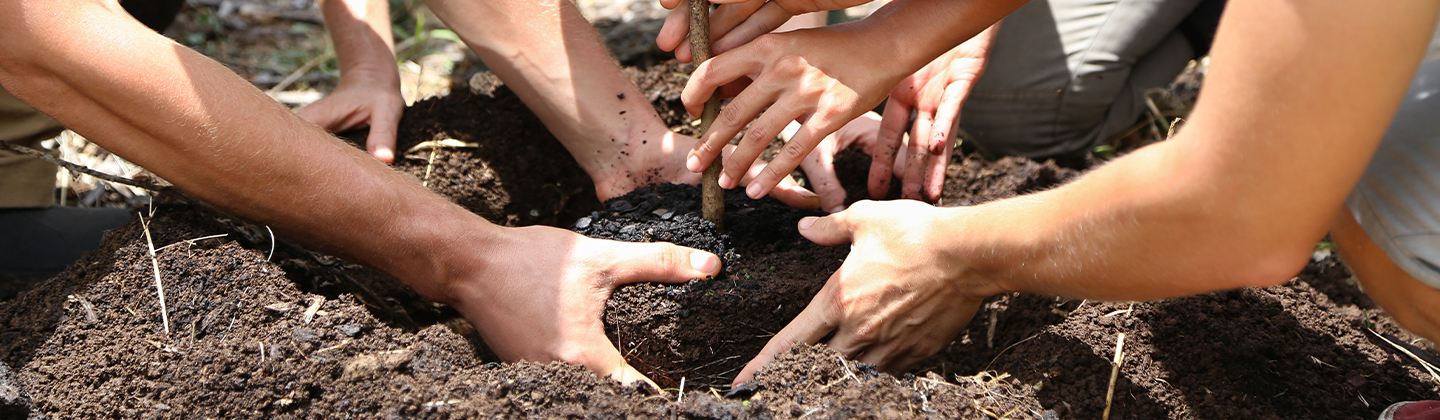 A group pf people planting a tree in soil