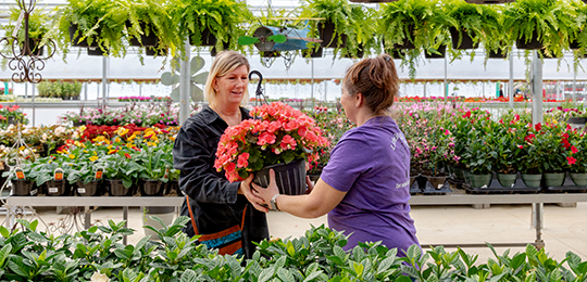 Customer being helped by a greenhouse employee