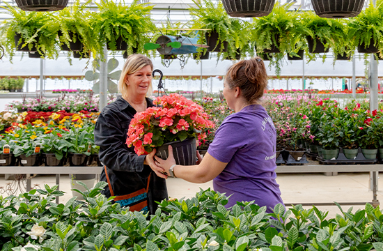 Customer being helped by a greenhouse employee