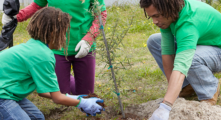 Three people planting a tree