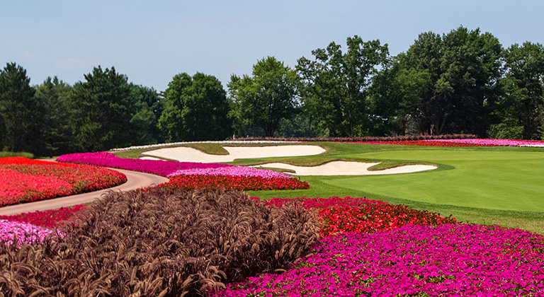 Flower hole at SentryWorld golf course