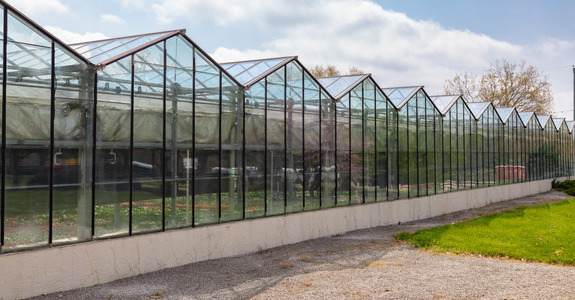 View of a large greenhouse from the outside