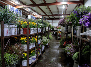 Floral storage cooler with flowers